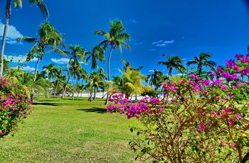 Apartamento Abaco Beach Resort And Boat Harbour Marina