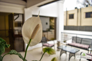 Hotel Pantanal Inn