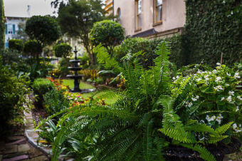 Bed & Breakfast The Gastonian