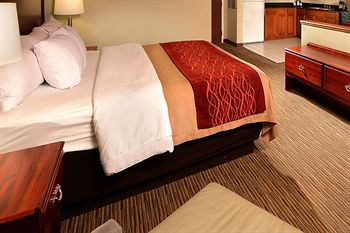 Hotel Comfort Inn Schererville