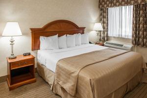 Hotel Quality Inn Indy Castleton