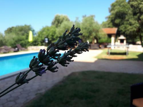 Hostal Guesthouse Barboska