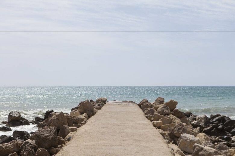 Hotel Albah�a Alicante