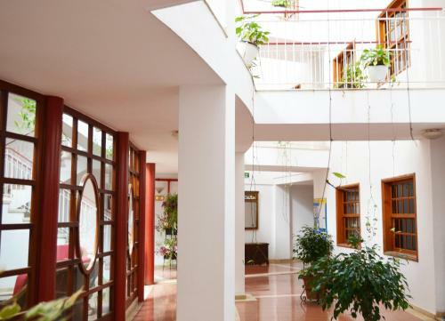 Apartamento Delfin Playa