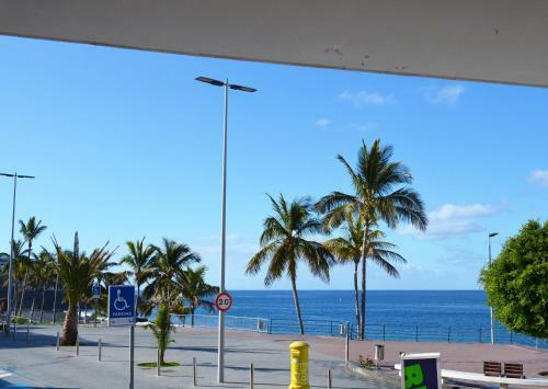Apartamento Delfin Playa