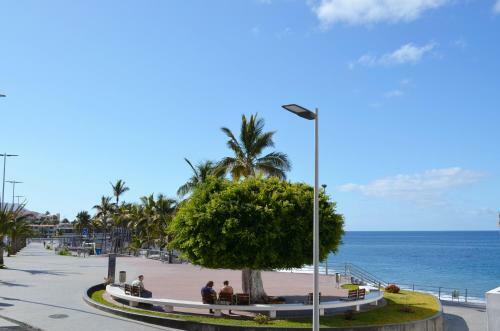 Apartamento Delfin Playa