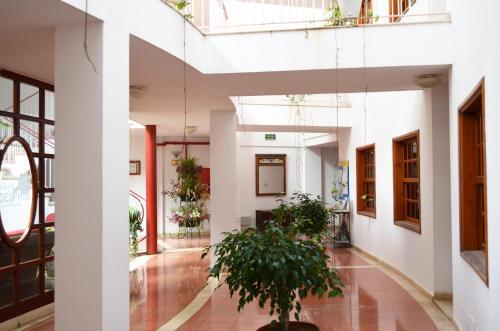 Apartamento Delfin Playa