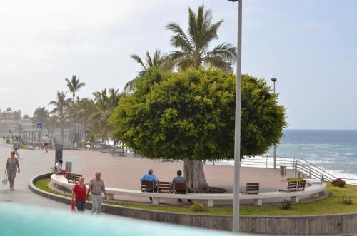 Apartamento Delfin Playa