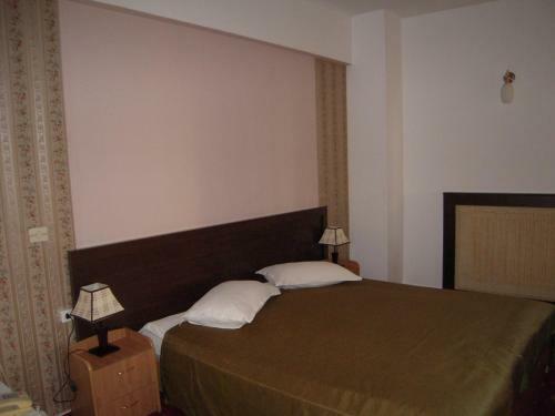 Hotel Dambovita
