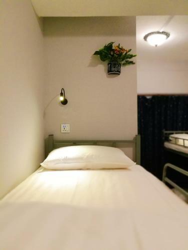 Wow Hostel