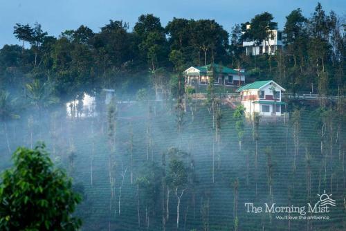 The Morning Mist