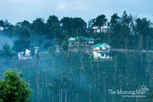 The Morning Mist