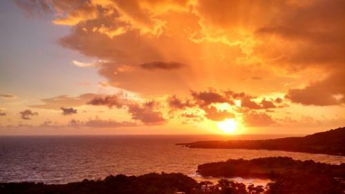 Posada Caribbean Dawn