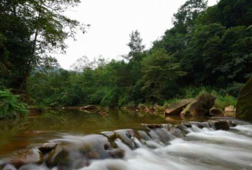 Lodge Green Hills Yiping Holiday Hotel