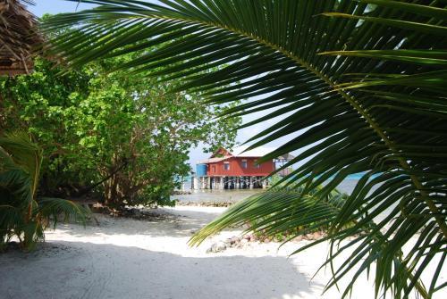 Lodge Imagination Island