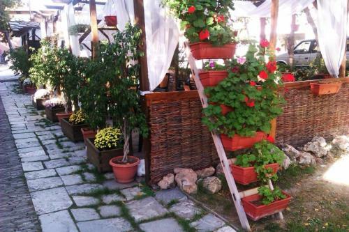 Hotel Malamovata Kashta