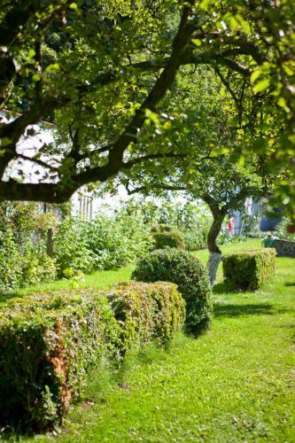 Hostal Lozerkasteel