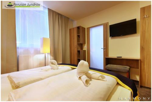 Hostal Penzion Jundrov