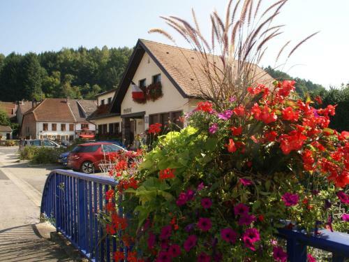 Maison De Vacances - Turquestein Blancrupt