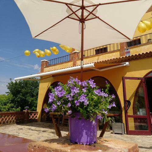 Apartamento Mas Trucafort