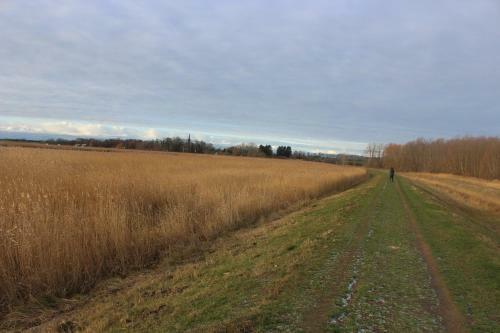 Haus Am Wiek