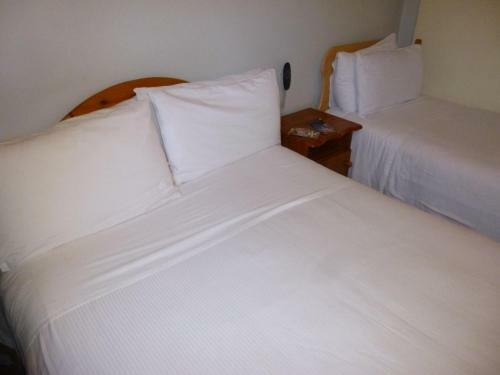 Doheny House B&B