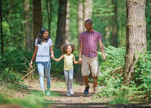Darwin Forest Country Park