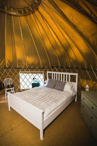 Rock Farm Slane - Glamping