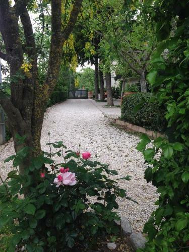 B&B Il Giovine