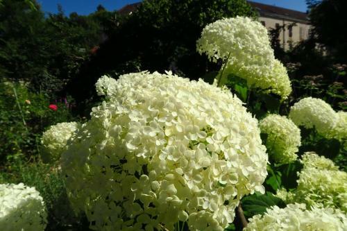 Bed & Breakfast Villa Hestia