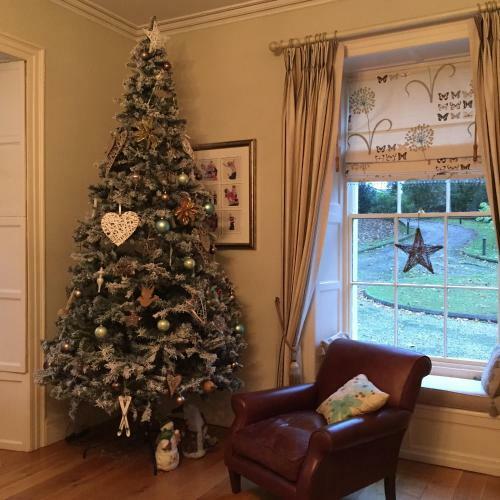 Bed & Breakfast Larchmount House