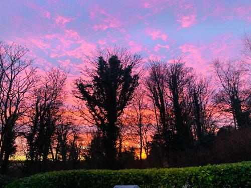 Bed & Breakfast Larchmount House