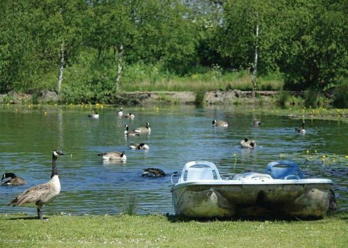 Pickering Lodges
