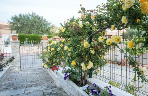 Casa Svit