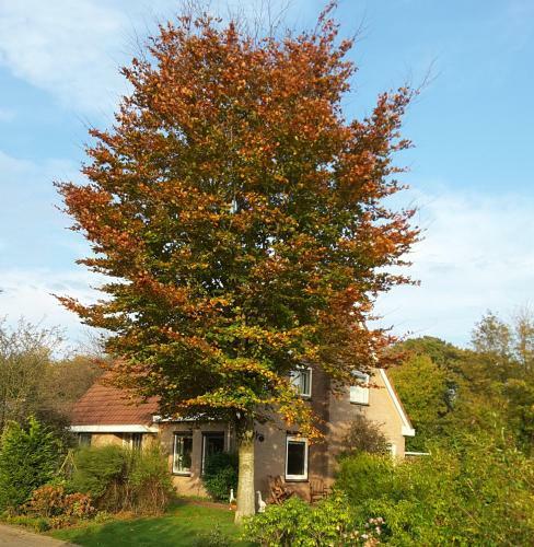 Bed En Breakfast Rust En Ruimte