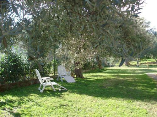Villa Il Melicucco