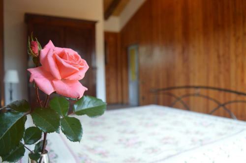 Il Dovese B&B