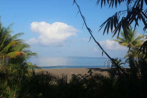 Hotel Guaria De Osa Ecolodge