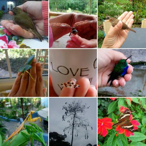 Villa Tavida Lodge