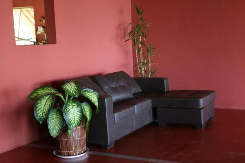 Hotel Nautile