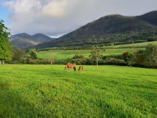 Bed & Breakfast Kurlandpark