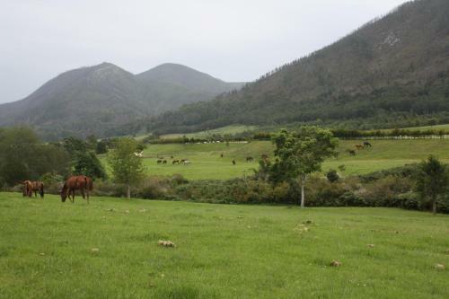 Bed & Breakfast Kurlandpark