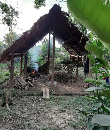 Comunidade Do Xingu Camping Side