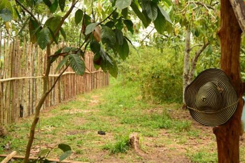 Comunidade Do Xingu Camping Side