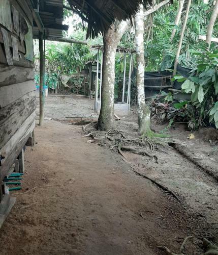 Comunidade Do Xingu Camping Side