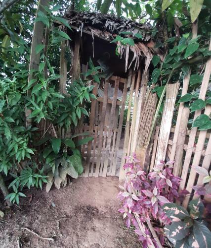 Comunidade Do Xingu Camping Side
