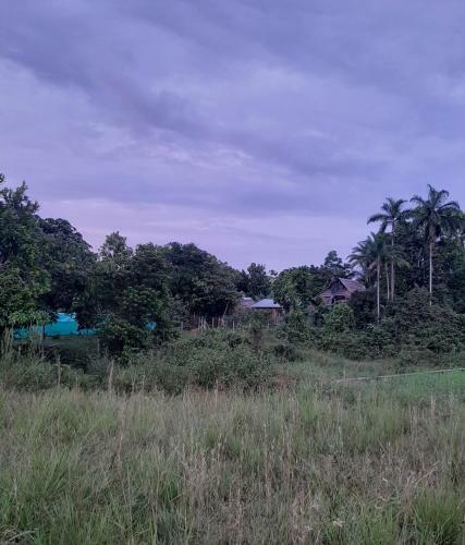 Comunidade Do Xingu Camping Side
