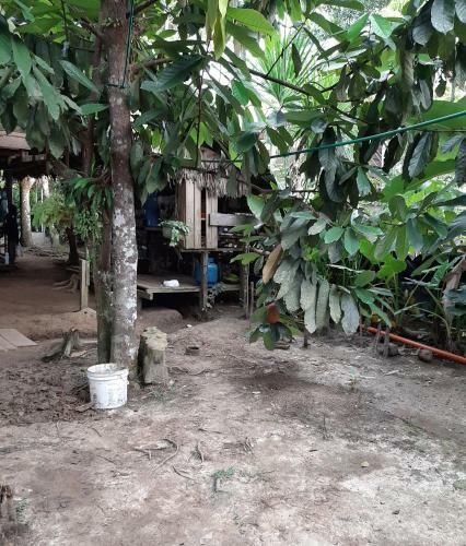 Comunidade Do Xingu Camping Side