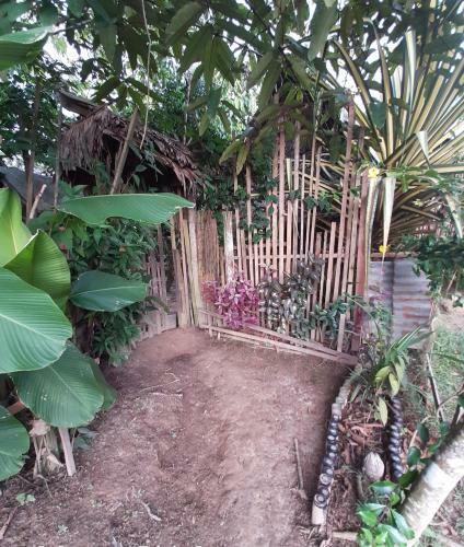 Comunidade Do Xingu Camping Side