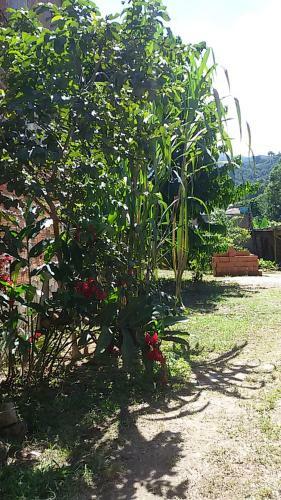 Bed & Breakfast Pouso Cantinho Dos Sabias